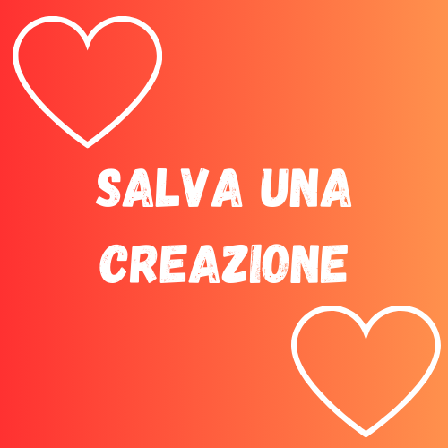 Salva una Creazione